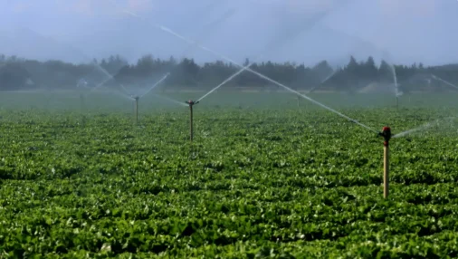 "Une question de survie" : l’accès à l’eau conditionne le maintien de l’activité agricole en Vaucluse